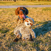 MULTIPET JUMBO LENOCHOD PLYŠ 35,5 CM - HRAČKY PRO PSY