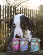 MARP VARIETY SINGLE KRÁLÍK KONZERVA PRO PSY 400G - KONZERVY PRO PSY