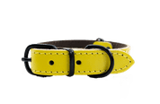 KOŽENÝ OBOJEK ARGUS, ČERNÉ KOVÁNÍ - ŽLUTÁ - OBOJKY PRO PSY