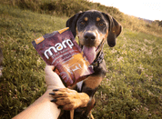 MARP HOLISTIC – JEHNĚČÍ PAMLSKY S PETRŽELÍ BEZ OBILOVIN 150G - PAMLSKY PRO PSY