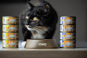 MARP HOLISTIC PLUS KONZERVA PRO KOČKY - KUŘECÍ PATÉ S HOVĚZÍMI KOUSKY 70G - KONZERVY PRO KOČKY