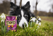 MARP MIX KONZERVA PRO PSY JEHNĚ+ZELENINA 400G - KONZERVY PRO PSY
