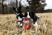 MARP HOLISTIC – KACHNÍ PAMLSKY S KELPOU BEZ OBILOVIN 150G - PAMLSKY PRO PSY