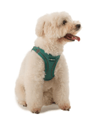 FARM COMPANY SOFT MESH POSTROJ PRO PSY ČERNÝ 3XS 24-28CM - POSTROJE PRO PSY