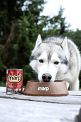 MARP EKOLOGICKÁ MISKA M 400ML - MISKY PRO PSY