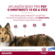 ADVANTIX SPOT ON PRO PSY 40-60KG (6ML) EXP 01/2026 SLEVA 10% - ZACHRAŇ MĚ