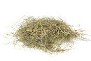 PUČÁLKA LUČNÍ SENO 1KG - SENO