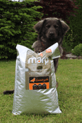 MARP VARIETY COUNTRYSIDE - KACHNÍ 12KG - GRANULE PRO PSY