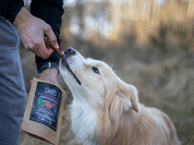 FARM COMPANY PIU BUONO PAMLSKY PRO PSY S ČERVENÝM OVOCEM 80G - PAMLSKY PRO PSY