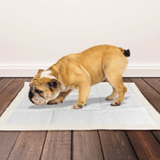 OUT! HYGIENICKÉ PODLOŽKY 100KS - HYGIENA