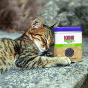 CATNIP PRÉMIUM KONG 62G - KOČKY