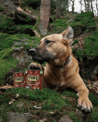 MARP CHICKEN KONZERVA PRO PSY S KUŘECÍM 6X800G - KONZERVY PRO PSY