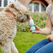 VET'S BEST PĚNA NA ZUBY PRO PSY 150ML - HYGIENA