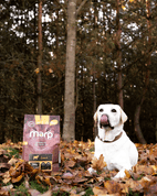 MARP HOLISTIC LAMB - JEHNĚČÍ BEZ OBILOVIN 2KG - GRANULE PRO DOSPĚLÉ PSY