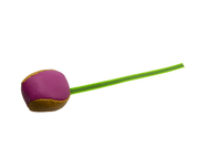 BAFPET KOŽENÝ MÍČEK S COURAČKOU - MIX BAREV - SPORT A VÝCVIK