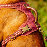 NOBBY POSTROJ SPORTY S-M ČERVENÁ SLEVA 20% VÝPRODEJ - POSTROJE PRO PSY