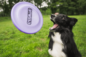 AMINELA FRISBEE FASTBACK CLASSIC PURPLE - SPORT A VÝCVIK