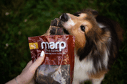MARP TREATS BUFFALO JERKY - SUŠENÝ JÍCEN 100G - PAMLSKY PRO PSY