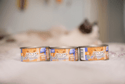 MARP HOLISTIC PLUS KONZERVA PRO KOČKY – TUŇÁKOVÉ PATÉ S KREVETAMI 70G - KONZERVY PRO KOČKY