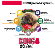 KONG HRAČKA GUMA CLASSIC GRANÁT S ČERVENÁ - HRAČKY PRO PSY