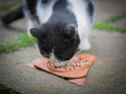 AMARAGO LÍZACÍ PODLOŽKA TROJÚHELNÍK - HNĚDÁ - MISKY PRO PSY