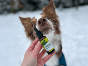 ENERGY CANNABIVET 30ML - DOPLŇKY PRO PSY