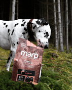 MARP HOLISTIC SALMON - LOSOSOVÉ BEZ OBILOVIN 2KG - GRANULE PRO ŠTĚŇATA