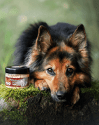 MARP HOLISTIC - KŘEMELINA 100G - DOPLŇKY PRO PSY