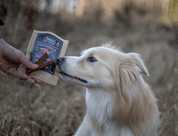 FARM COMPANY PIU BUONO PAMLSKY PRO PSY S ČERVENÝM OVOCEM 80G - PAMLSKY PRO PSY