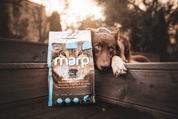 MARP VARIETY SLIM AND FIT - S BÍLOU RYBOU 2KG - GRANULE PRO PSY