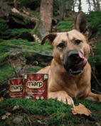 MARP CHICKEN KONZERVA PRO PSY S KUŘECÍM 6X400G - KONZERVY PRO PSY