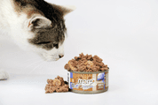 MARP HOLISTIC PLUS KONZERVA PRO KOČKY – TUŇÁKOVÉ PATÉ S KREVETAMI 70G - KONZERVY PRO KOČKY