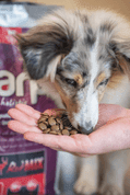 MARP HOLISTIC RED MIX - HOVĚZÍ,KRŮTÍ,ZVĚŘINA BEZ OBILOVIN 2KG - GRANULE PRO DOSPĚLÉ PSY