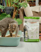 ALMO NATURE 100% EKOLOGICKÝ KOČKOLIT 2,27KG - HYGIENA A KOČKOLIT