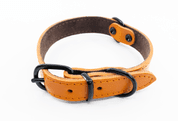 BAFPET KOŽENÝ OBOJEK HERRY MINI, ČERNÉ KOVÁNÍ - ORANŽOVÁ - OBOJKY PRO PSY
