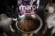 MARP HOLISTIC WHITE MIX SB - PRO MALÁ PLEMENA BEZ OBILOVIN 2KG - GRANULE PRO PSY