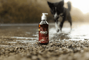 MARP HOLISTIC - LNĚNÝ OLEJ 500ML - DOPLŇKY PRO PSY