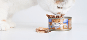 MARP HOLISTIC PLUS KONZERVA PRO KOČKY – TUŇÁKOVÉ FILETY VE VÝVARU 70G - KONZERVY PRO KOČKY