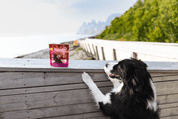 MARP HOLISTIC PLUS - KRŮTÍ PAMLSKY PRO PSY 80G - PAMLSKY PRO PSY