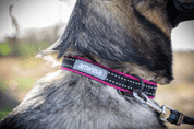 AMINELA OBOJEK POLOSTAHOVACÍ  SPORT & CITY 25MM/48CM + 5CM - MALINOVÁ - OBOJKY PRO PSY