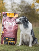 MARP HOLISTIC LAMB - JEHNĚČÍ BEZ OBILOVIN 12KG - GRANULE PRO DOSPĚLÉ PSY