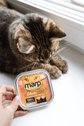 MARP SALMON VANIČKA PRO KOČKY S LOSOSEM 100G - KONZERVY PRO KOČKY