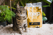 MARP HOLISTIC INDOOR CAT - PRO DOSPĚLÉ A STARŠÍ KOČKY 2KG - GRANULE PRO KOČKY