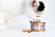 MARP HOLISTIC PLUS KONZERVA PRO KOČKY – TUŇÁKOVÉ FILETY VE VÝVARU 70G - KONZERVY PRO KOČKY