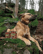 MARP CHICKEN KONZERVA PRO PSY S KUŘECÍM 400G - KONZERVY PRO PSY