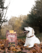 MARP HOLISTIC LAMB - JEHNĚČÍ BEZ OBILOVIN 2KG - GRANULE PRO DOSPĚLÉ PSY
