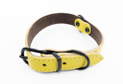 KOŽENÝ OBOJEK ARGUS, ČERNÉ KOVÁNÍ - ŽLUTÁ - OBOJKY PRO PSY