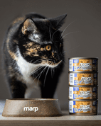 MARP HOLISTIC PLUS KONZERVA PRO KOČKY – TUŇÁKOVÉ PATÉ SE SARDINKAMI 24X70G - KONZERVY PRO KOČKY