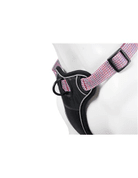 FARM COMPANY DELUXE NYLONOVÝ POSTROJ PRO PSY STŘÍBRNÝ L - POSTROJE PRO PSY