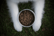 MARP HOLISTIC WHITE MIX LB - PRO VELKÁ PLEMENA BEZ OBILOVIN 2KG - GRANULE PRO PSY
